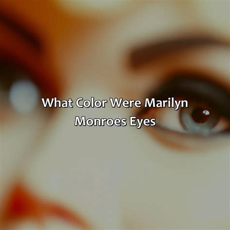 What Color Is A Dolphin - colorscombo.com