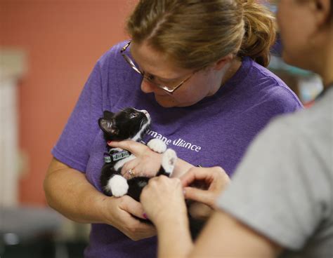 Love for Pets | Iowa Humane Alliance