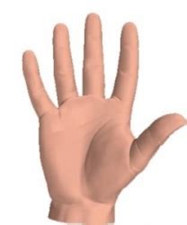 Перевод слова hand