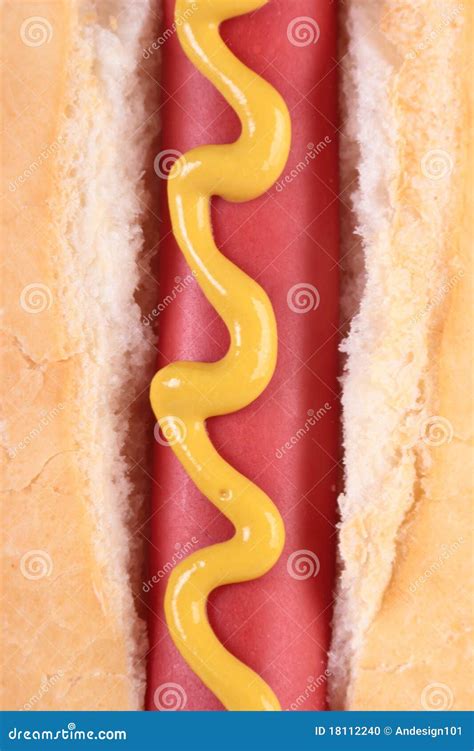 Foot Long Hot Dog Royalty-Free Stock Image | CartoonDealer.com #13825354