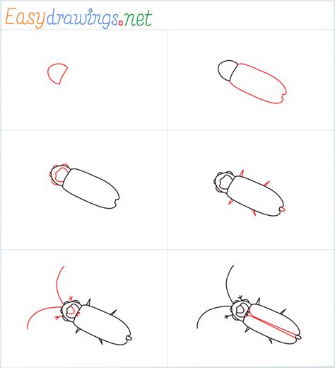 How To Draw A Firefly Step by Step - [6 Easy Phase]