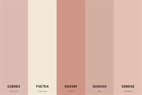 25+ Best Gold Color Palettes with Names and Hex Codes – CreativeBooster