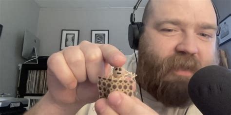 punk this week podcast: the best punk records of 2025