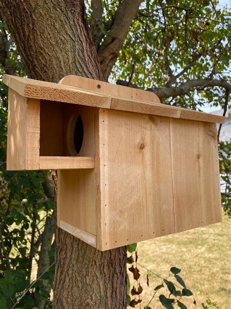 DIY Squirrel House Plans