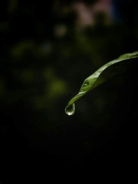 Panty+Drop+Gifs Photos, Download The BEST Free Panty+Drop+Gifs Stock Photos & HD Images