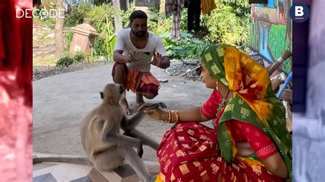 An Odisha Village Couple Was Hit With FIRs Over Their ‘Viral’ Pet Monkeys