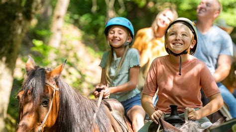 Horseback Riding Tours in Sevierville, TN - Five Oaks Riding Stables