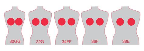 Real Breast Size Comparison Chart