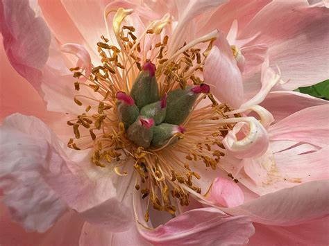 Home Again, Home Again....It's Great To Go, Wonderful To Come Home ...