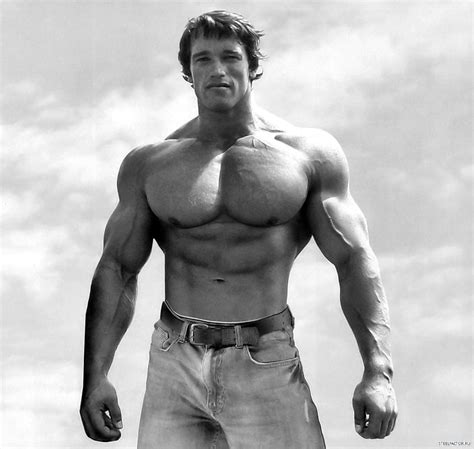 Arnold Schwarzenegger, Body-Building, Black And White wallpapers ...