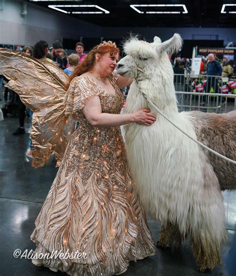 Fan Expo Portland 2023 Oregon Convention Center / Photos