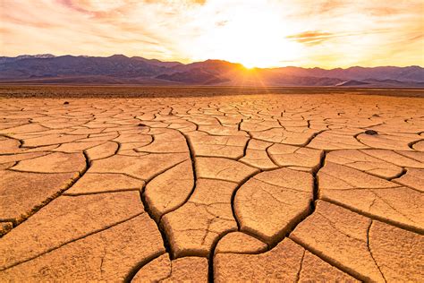 Ecosystem Of Death Valley