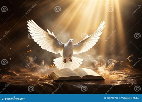 A Dove with Outstretched Wings Over an Open Bible in the Sunlight Stock ...