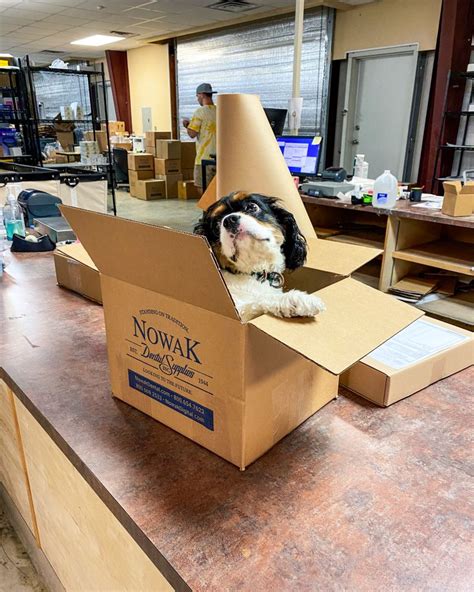 Jerry Schiefelbein, CDT, TE on LinkedIn: #nowakdentalsupplies #apexlabgroup