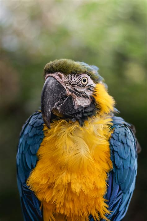 Anime+Sex+Positions Photos, Download The BEST Free Anime+Sex+Positions ...