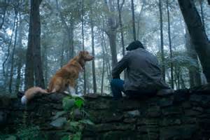 The New 'Good Boy' Trailer Puts the Dog in Dog Horror