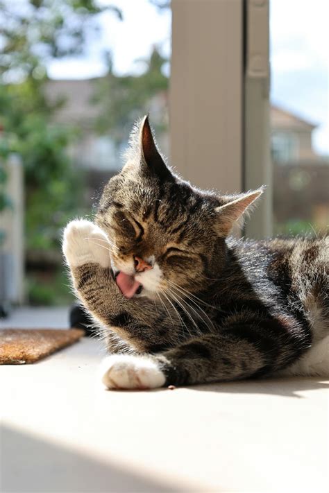 Panties+Down+And+Bend+Over Photos, Download The BEST Free Panties+Down ...