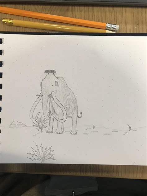 First time drawing a mammoth : r/Paleoart