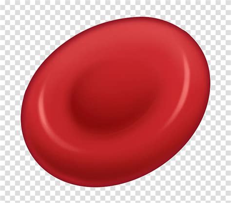 Red Blood Cells PNG, Vector, PSD, and Clipart With Transparent - Clip ...