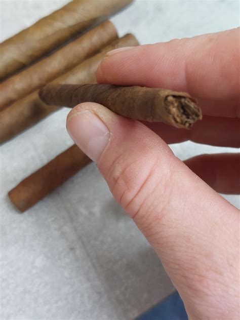 Homemade cigar. What an achievement! I'm proud 👏 : r/cigars