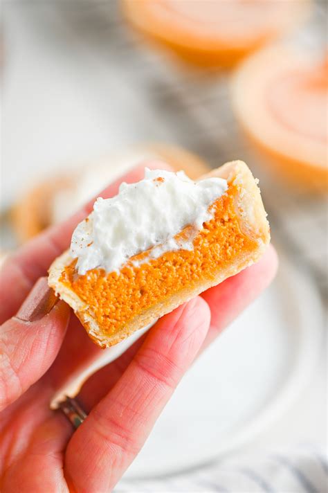 Mini Pumpkin Pies - Life's Ambrosia