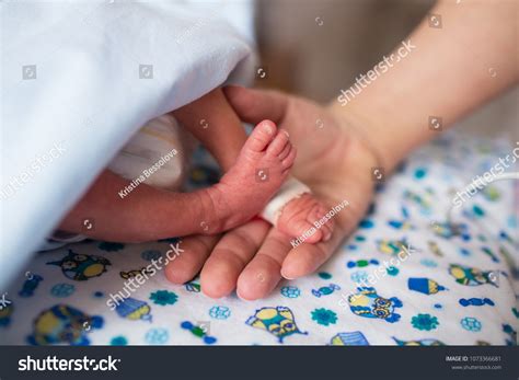 Infant Icu: Over 849 Royalty-Free Licensable Stock Photos | Shutterstock