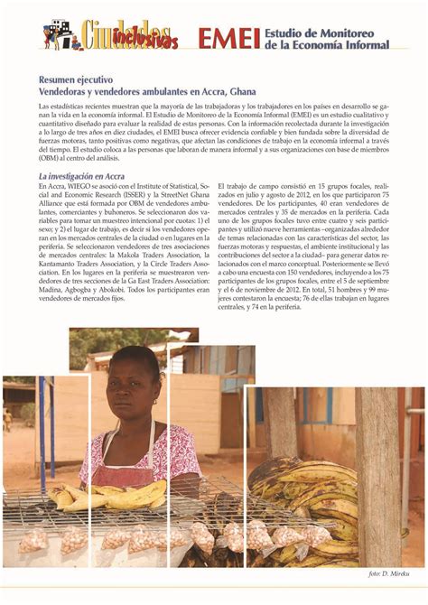 Resumen Ejecutivo - Estudio de Monitoreo de la Economía Informal ...