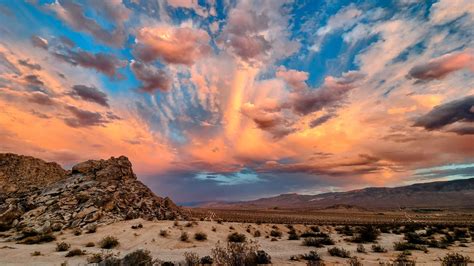 King Cougar Trail | Johnson Valley, California | Polaris Adventures