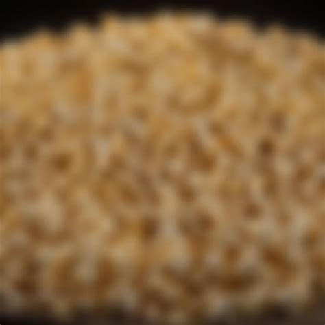 Exploring the Intricacies of Popcorn Grain