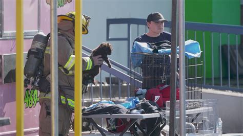 Dallas, Texas fire killed 500 animals at Plaza Latina shopping center | kvue.com