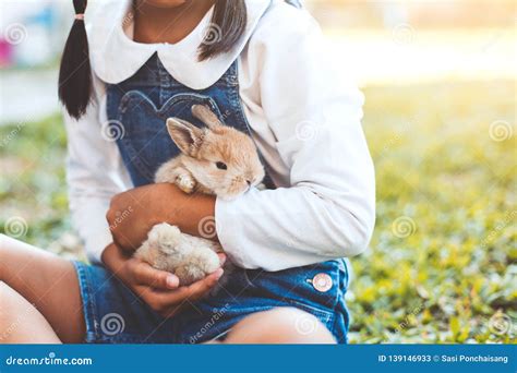 Cute Asian Child Girl Playing with Bunny Rabbit with Love and ...
