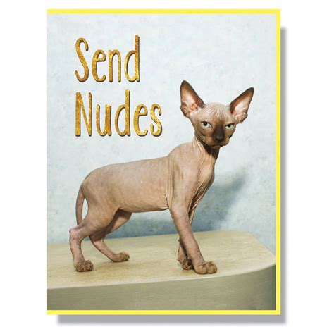 Send Nudes Pic
