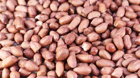 Legumes Include Peanuts at Eleanor Noel blog