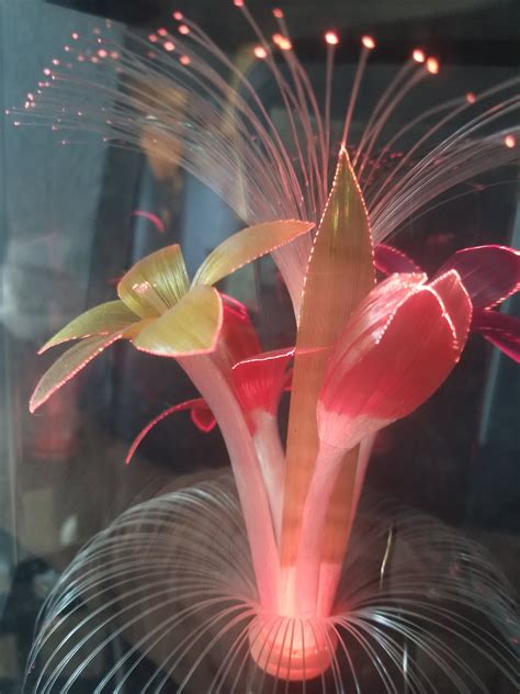 Fiber Optic Flower Lamp