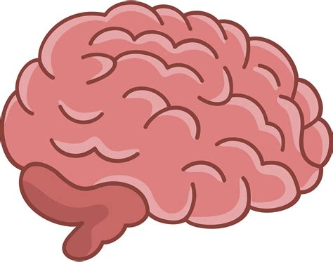 Brain Clipart Pngs