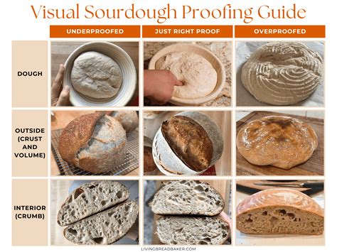 Why Is My Sourdough Bread Gummy? 7 Causes and How to Fix Them - Living ...