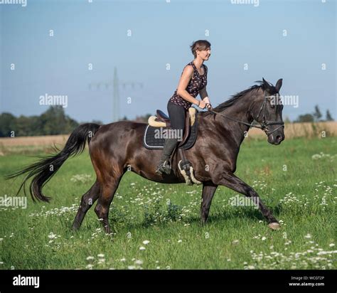 Girl on horse hi-res stock photography and images - Alamy