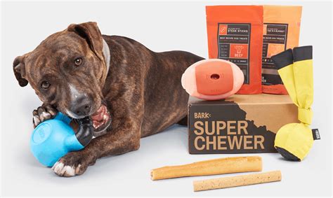 BarkBox Super Chewer Coupon: Get FREE Bonus Toy With Subscription ...