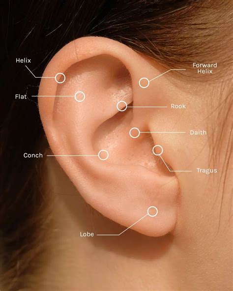 Ear Accessories Names at Sybil Downing blog