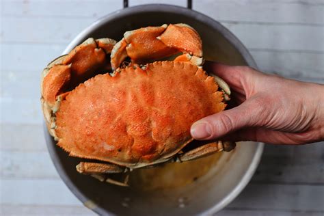How To: Boil Crabs — The Briny Babe