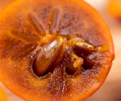Persimmon Seed Prediction