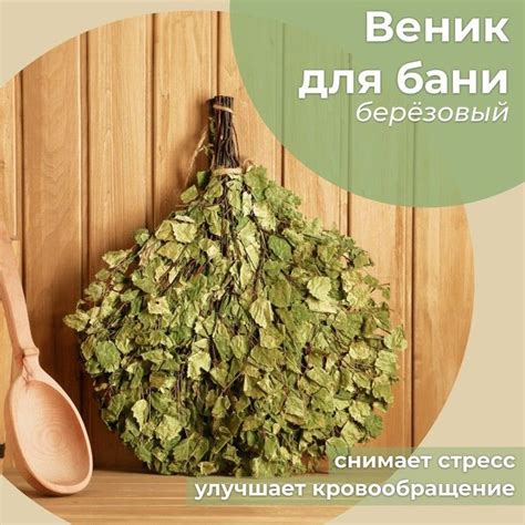 Веник для бани берeзовый Богатырский (2023) 20 шт - Веник для бани ...