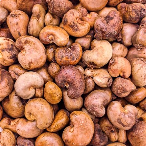 Cashew Nuts - The "Golden Treasure" Rising in Vietnam with Delicious ...