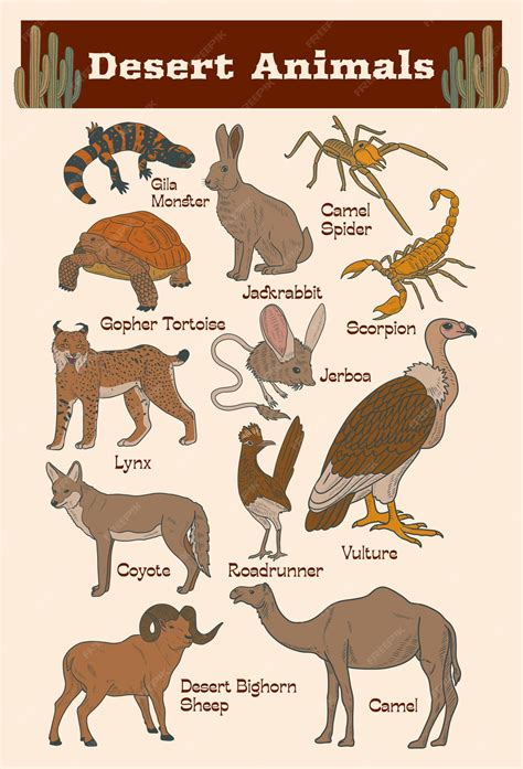 Desert Animals Pictures With Names