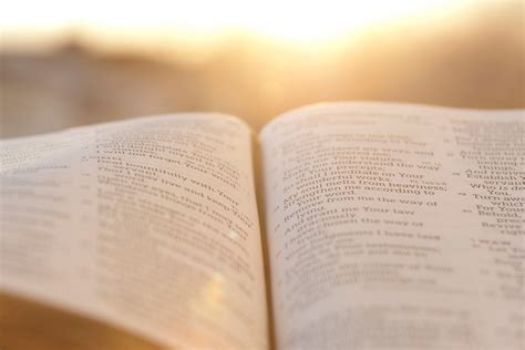 Did Jesus ever commit sin?