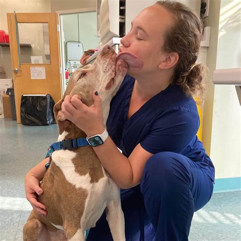 Veterinarian & Animal Hospital in Millis, MA