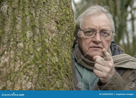Senior Man Pointing Finger from Behind a Large Tree in the Woods Stock ...