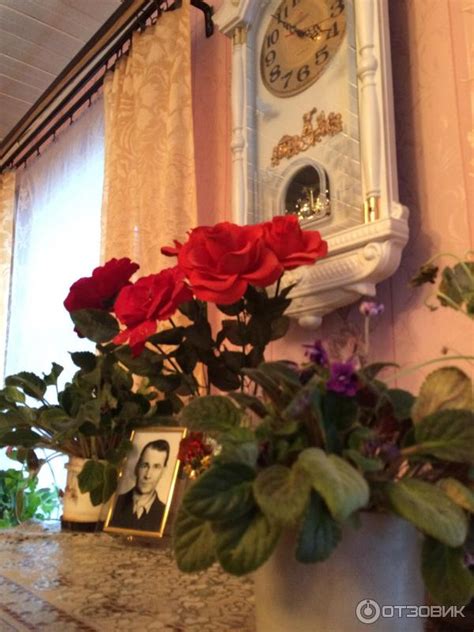 Отзыв о Экскурсия в деревню Рубчойла от туроператора "Карелия-лайнс ...
