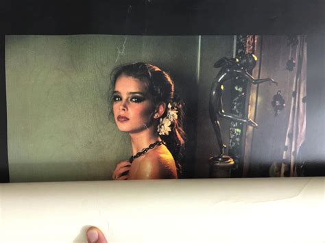 Brooke Shields Gary Gross Gallery