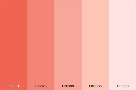 20+ Best Peach Color Palettes for 2024 (Colors That Go With Peach ...